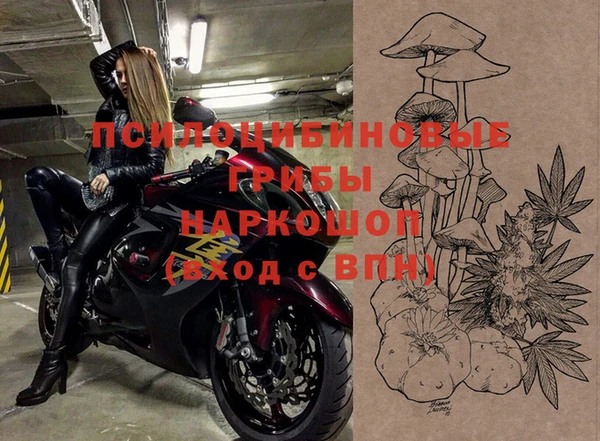 МДПВ Абдулино