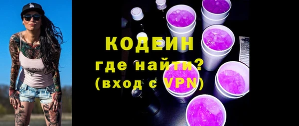 хмурый Абаза