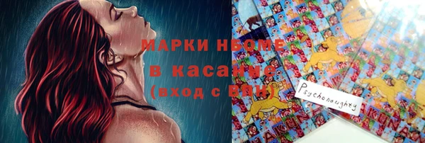 сатива Алексеевка