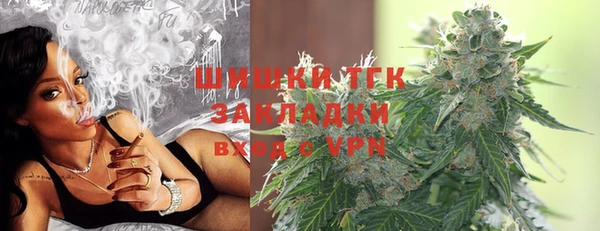 хмурый Абаза