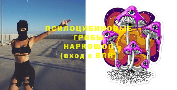 МДПВ Абинск
