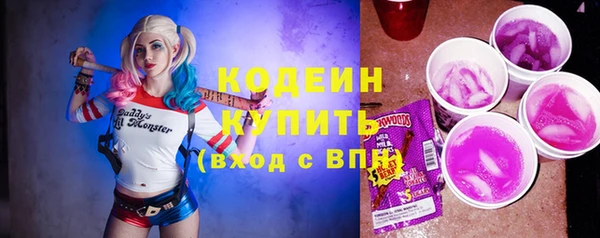 хмурый Абаза