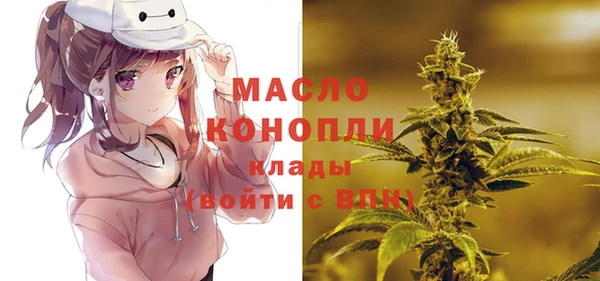 хмурый Абаза