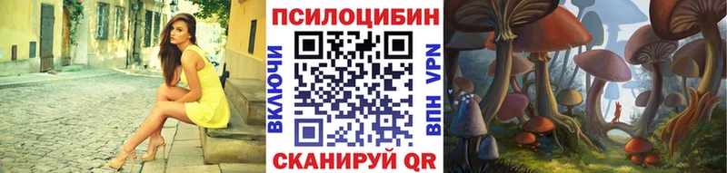как найти закладки  Щёлково  Галлюциногенные грибы Psilocybe 